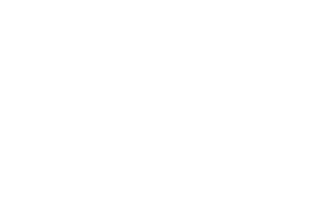 Skills Assure